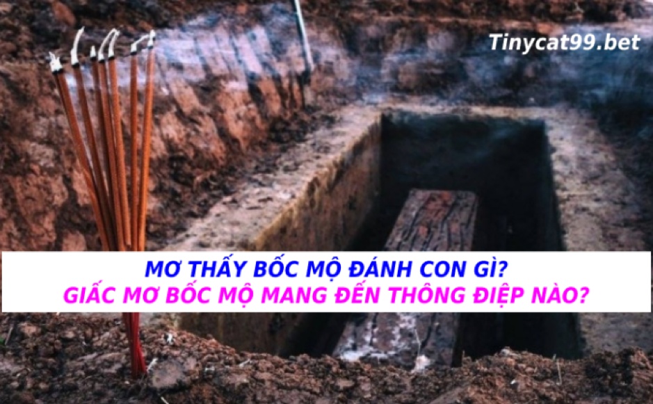 mơ thấy bốc mộ